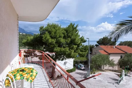 Apartmán Střední Dalmácie - Brela DA 2207 N1