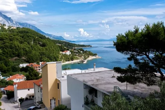 Apartmán Střední Dalmácie - Brela DA 2207 N1