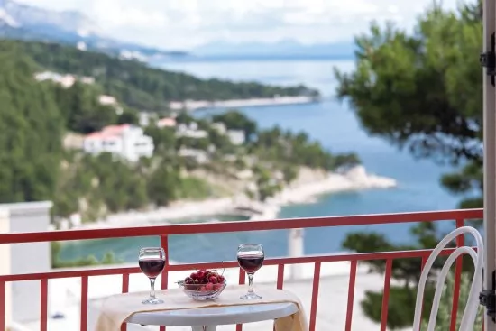 Apartmán Střední Dalmácie - Brela DA 2207 N1