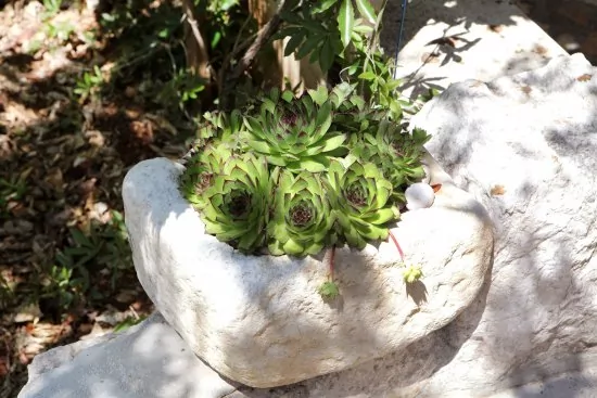 Apartmán Střední Dalmácie - Seget Vranjica DA 3405 N1