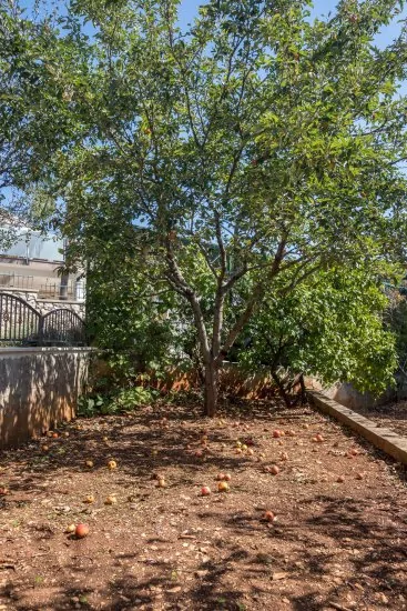 Apartmán Střední Dalmácie - Okrug Gornji DA 3305 N1