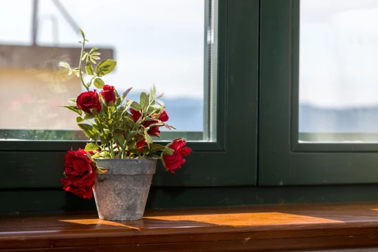 Apartmán Střední Dalmácie - Igrane DA 1804 N1