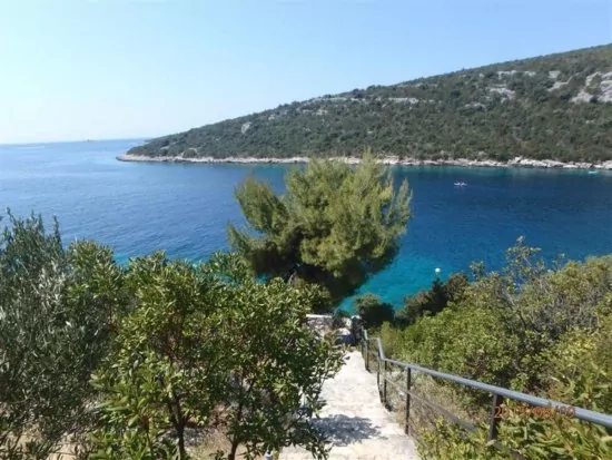 Vila s bazénem Střední Dalmácie - Vinišće DA 3407 N1