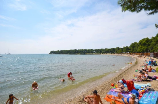 Pláž ve městě Novigrad