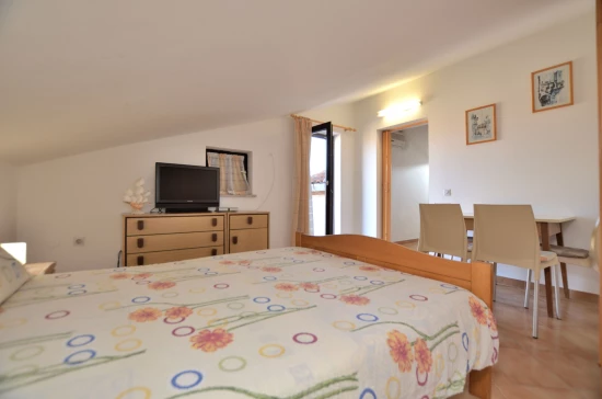 Apartmán Istrie - Novigrad IS 3504 N2