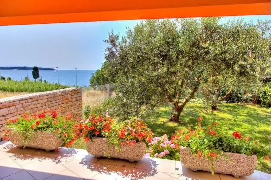 Apartmán Istrie - Pula IS 2002 N2