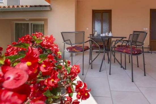 Apartmán Istrie - Pula IS 2002 N2