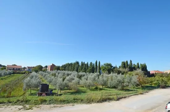 Apartmán Istrie - Medulin IS 1604 N1