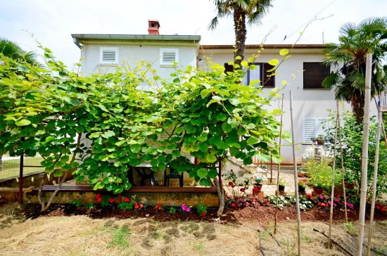 Apartmán Istrie - Valbandon IS 2101 N1