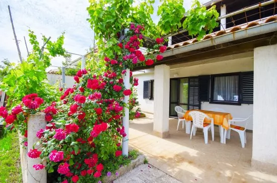 Apartmán Istrie - Banjole IS 1807 N1