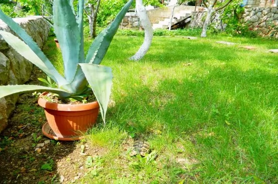 Apartmán Kvarner - Senj KV 1004 N2