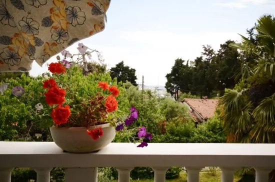 Apartmán Istrie - Umag IS 3803 N1