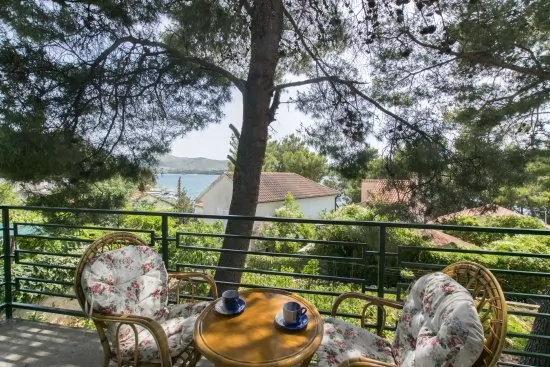 Apartmán Severní Dalmácie - Žaboric DA 3803 N1