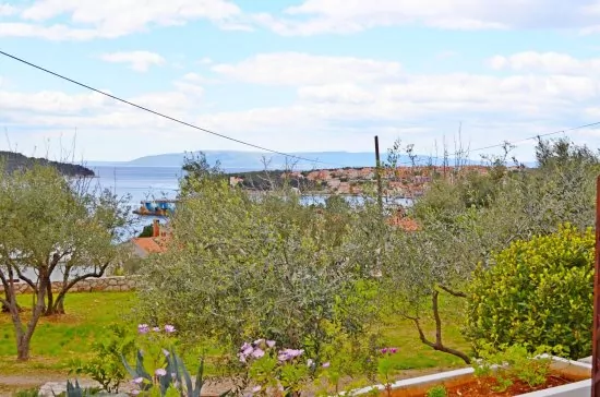 Apartmán Ostrov Cres - Cres OS 9001 N1