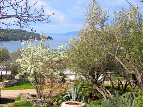 Apartmán Ostrov Cres - Cres OS 9001 N2