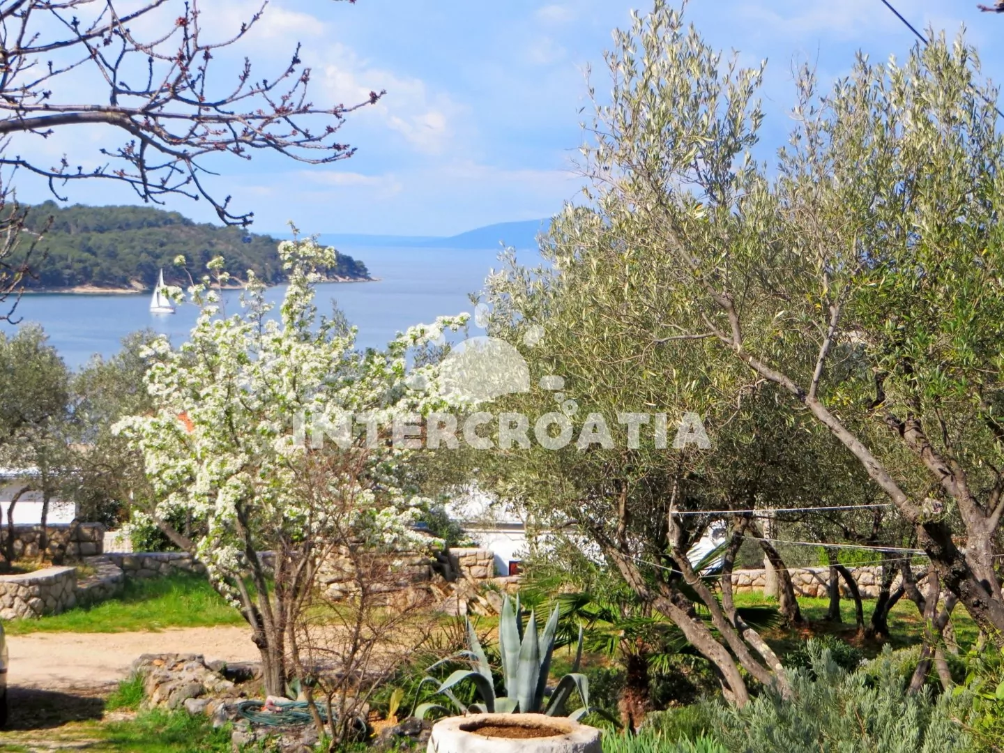 Apartmán Ostrov Cres - Cres OS 9001 N3