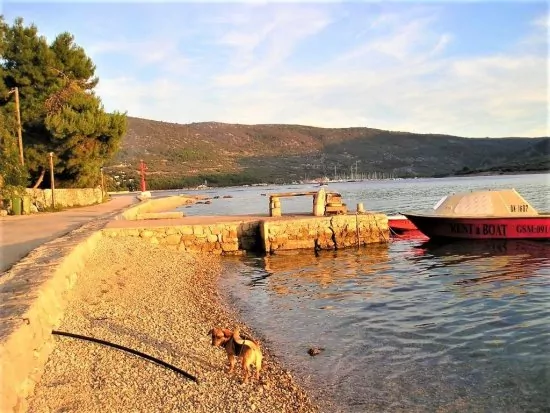 Apartmán Ostrov Cres - Cres OS 9002 N3