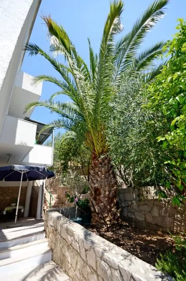 Apartmán Ostrov Hvar - Hvar OS 2004 N1