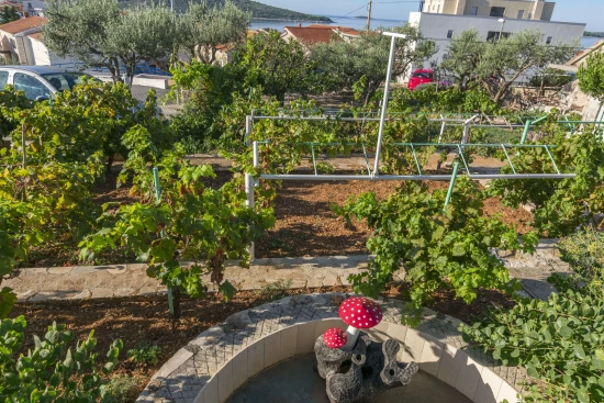 Apartmán Severní Dalmácie - Primošten DA 3616 N1