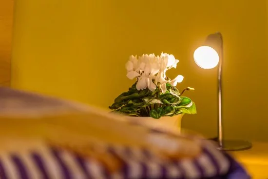 Apartmán Severní Dalmácie - Zadar DA 5006 N3