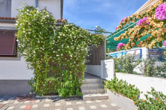 Apartmán Severní Dalmácie - Pakoštane DA 4602 N3