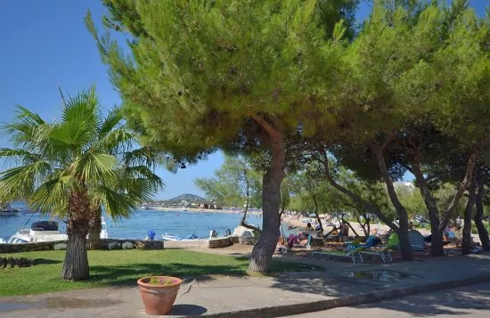 Apartmán Severní Dalmácie - Srima (Vodice) DA 4110 N3