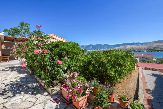 Apartmán Ostrov Pag - Pag OS 6304 N4