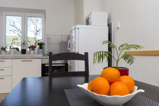 Apartmán Severní Dalmácie - Tribunj (Vodice) DA 4114 N1