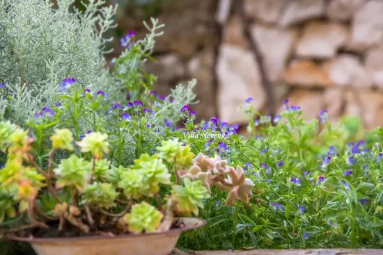 Apartmán Severní Dalmácie - Kanica DA 3519 N2