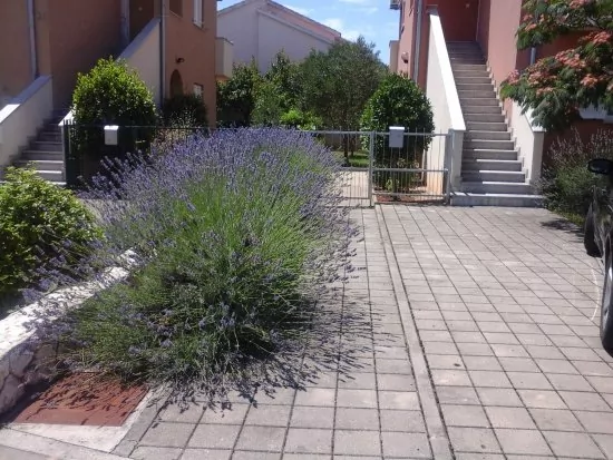 Apartmán Severní Dalmácie - Vodice DA 4117 N1