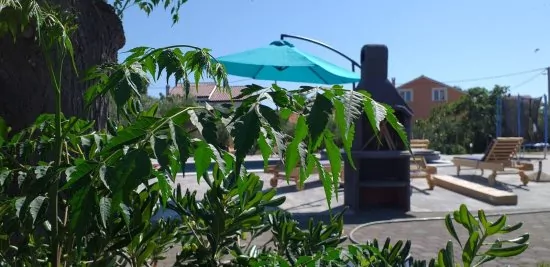 Apartmán Severní Dalmácie - Privlaka DA 5303 N1