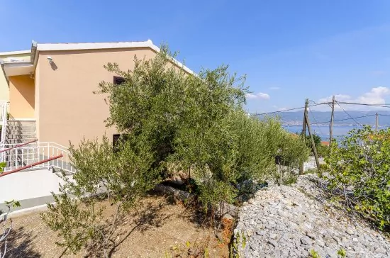 Apartmán Střední Dalmácie - Slatine (Čiovo) DA 3205 N1