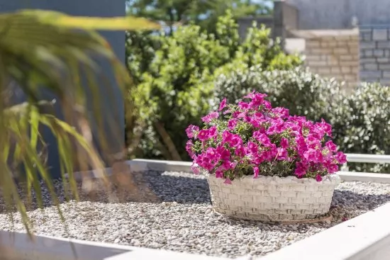 Apartmán Ostrov Pag - Novalja OS 6505 N2