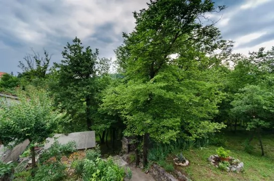 Apartmán Kvarner - Jadranovo (Crikvenica) KV 2008 N2