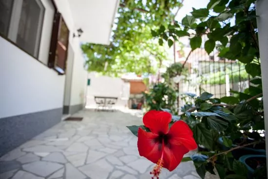 Apartmán Střední Dalmácie - Duće DA 2713 N2