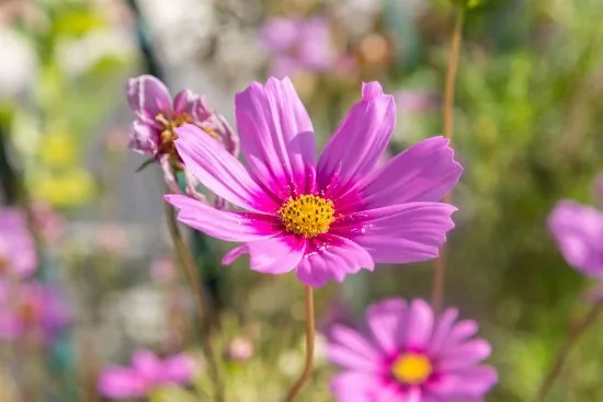 Apartmán Střední Dalmácie - Trogir DA 3207 N1