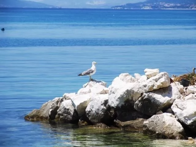 Pobřeží města Podstrana.