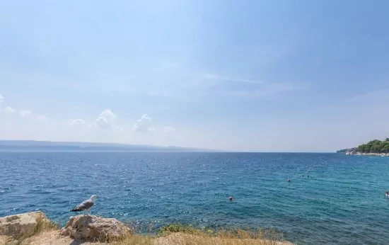 Moře je vzdáleno pouze 160 m od objektu.