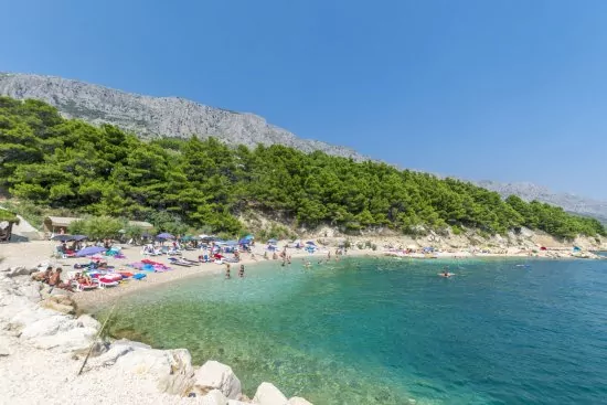 Oblázková pláž do 220 m od objektu.