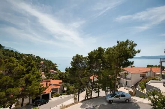 Apartmán Střední Dalmácie - Brela DA 2205 N2