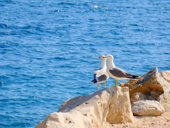 Oblázková pláž pouze 30 m od objektu.