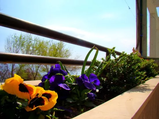 Apartmán Střední Dalmácie - Duće DA 2724 N4