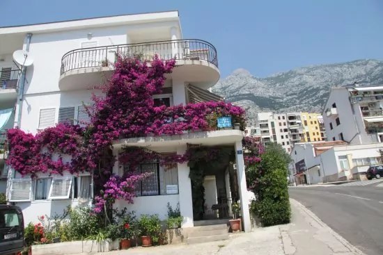 Apartmán Střední Dalmácie - Makarska DA 2008 N2