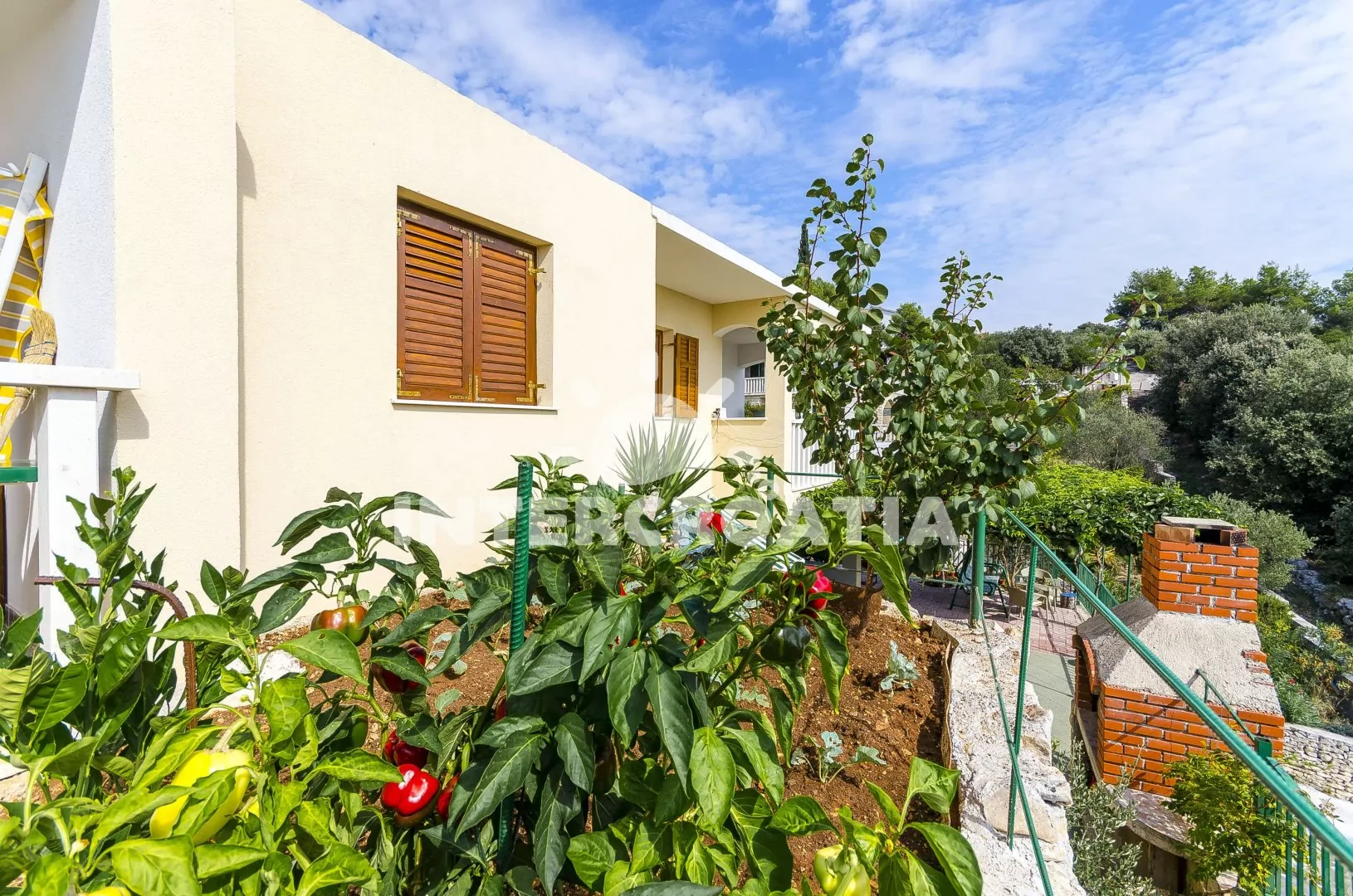 Apartmán Střední Dalmácie - Vinišće DA 3411 N1