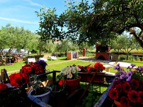 Apartmán Severní Dalmácie - Privlaka DA 5305 N1