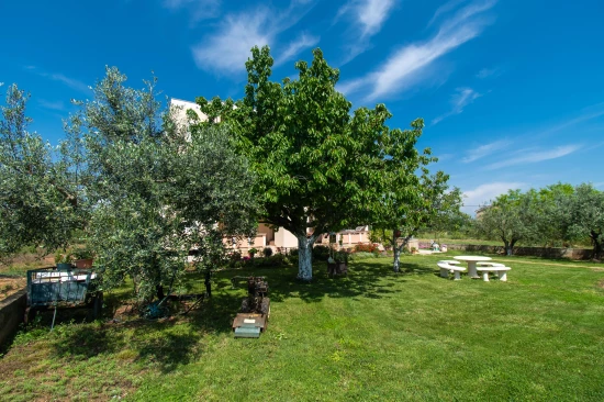 Apartmán Severní Dalmácie - Privlaka DA 5305 N1