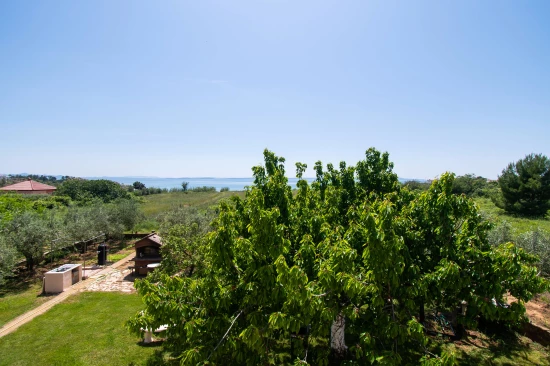 Apartmán Severní Dalmácie - Privlaka DA 5305 N1