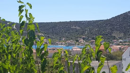 Apartmán Střední Dalmácie - Vinišće DA 3414 N1