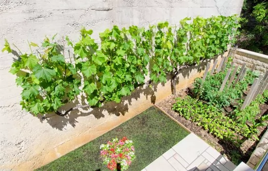 Apartmán Střední Dalmácie - Pisak DA 2308 N4