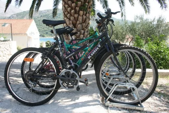 Apartmán Jižní Dalmácie - Slano DA 1103 N3